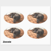 Doberman-pinscher-Puppy Ovaler Aufkleber (Blatt)