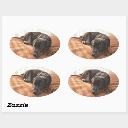 Doberman-pinscher-Puppy Ovaler Aufkleber (Blatt)