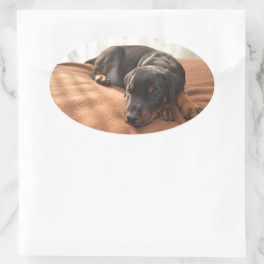 Doberman-pinscher-Puppy Ovaler Aufkleber (Tasche)