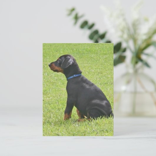 Doberman Pinscher Puppy Postcard Postkarte (Stehend Vorderseite)