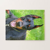 Doberman pinscher puzzle (Horizontal)