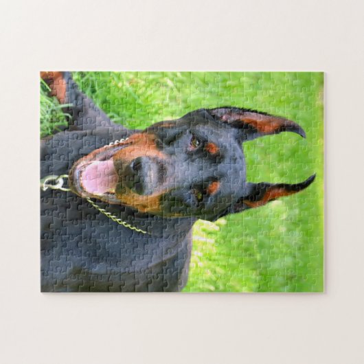 Doberman pinscher puzzle (Horizontal)