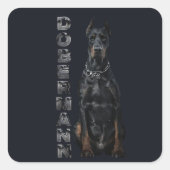 Doberman Pinscher Quadratischer Aufkleber (Vorderseite)