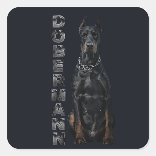 Doberman Pinscher Quadratischer Aufkleber (Vorderseite)