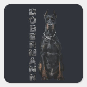 Doberman Pinscher Quadratischer Aufkleber
