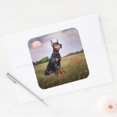 Doberman Pinscher Quadratischer Aufkleber (Umschlag)