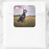 Doberman Pinscher Quadratischer Aufkleber (Tasche)
