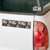 Doberman Pinscher Red Autoaufkleber (Auf Lkw)