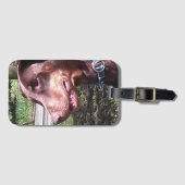 Doberman Pinscher Red Gepäckanhänger (Vorderseite (Horizontal))