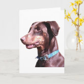 Doberman Pinscher Red Karte (Gelbe Blume)
