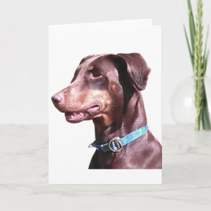 Doberman Pinscher Red Karte