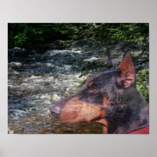 Doberman Pinscher River Tree Fantasy Art Poster (Vorne)