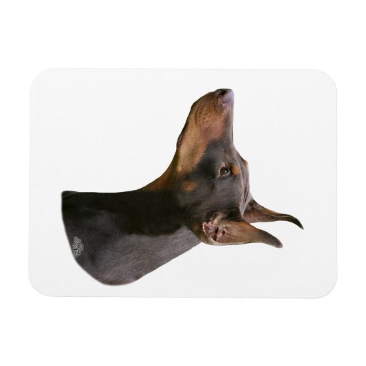 Doberman Pinscher - rot/braun Kopf Magnet (Horizontal)