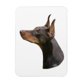 Doberman Pinscher - rot/braun Kopf Magnet (Vertikal)