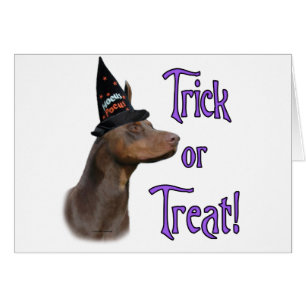 Doberman Pinscher (rot) Trick