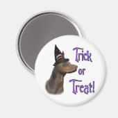 Doberman Pinscher (rot) Trick Magnet (Vorderseite/Rückseite)