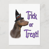 Doberman Pinscher (rot) Trick
