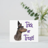 Doberman Pinscher (rot) Trick Postkarte (Stehend Vorderseite)