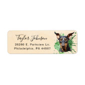 Doberman Pinscher Rücksendeadresse (Vorne)