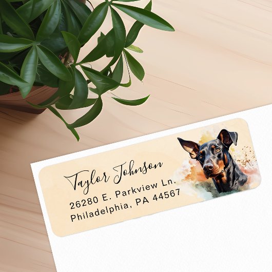 Doberman Pinscher Rücksendeadresse