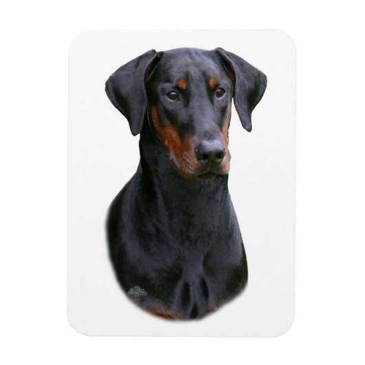 Doberman Pinscher - Schwarz-Naturhorn-Magnet Magnet (Vertikal)