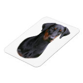Doberman Pinscher - Schwarz-Naturhorn-Magnet Magnet (Linke Seite)