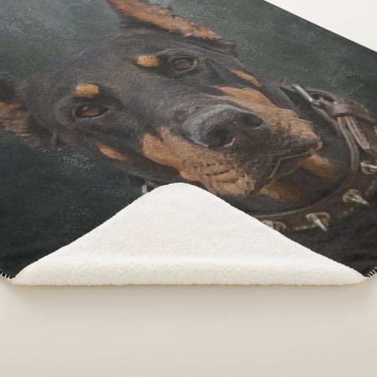 Doberman Pinscher Sherpadecke (3/4)