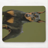 Doberman Pinscher Stehend Mousepad (Vorne)
