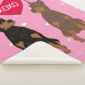 Doberman Pinscher Valentinstag Sherpadecke (3/4)