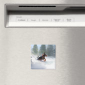 Doberman Pinscher Weihnachtsschnee Winter Magnet (In Situ (Geschirrspüler))