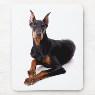 Doberman Pinscher Welpe Hund Mousepad