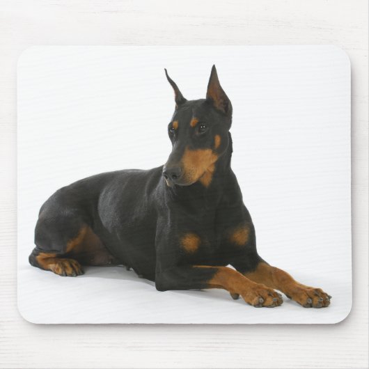 Doberman Pinscher Welpe Hund Mousepad (Vorne)