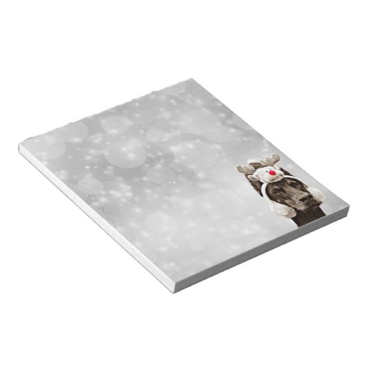 Doberman Pinscher Winter Portrait Notizblock (angewinkelt)