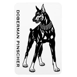 Doberman-Pinsel Magnet