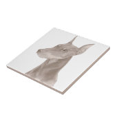 Doberman Portrait Fliese (Seite)
