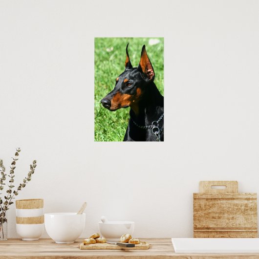 Doberman Poster (Küche)