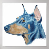 Doberman Poster (Vorne)