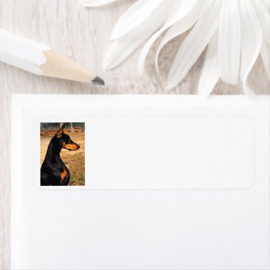 Doberman Profile Address Label (v. 9-3) (Insitu)
