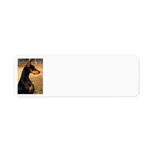 Doberman Profile Address Label (v. 9-3) (Vorne)