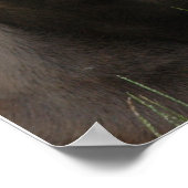 Doberman Protection Poster (Ecke)