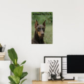Doberman Protection Poster (Heimbüro)