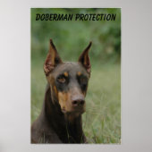 Doberman Protection Poster (Vorne)