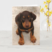 Doberman Puppy Karte (Gelbe Blume)