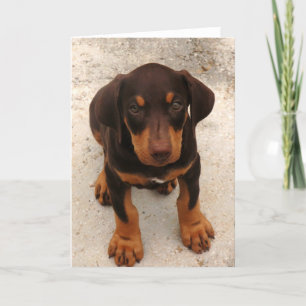 Doberman Puppy Karte