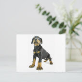 Doberman Puppy Postkarte (Stehend Vorderseite)