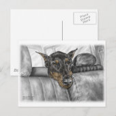 Doberman Riding im Auto Postkarte (Vorne/Hinten)