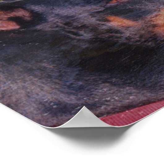 Doberman River Rocks Fantasy Art Poster (Ecke)