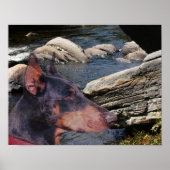 Doberman River Rocks Fantasy Art Poster (Vorne)