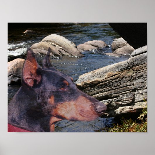 Doberman River Rocks Fantasy Art Poster (Vorne)