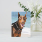 Doberman - Rot - Schlecht zum Knochen Postkarte (Stehend Vorderseite)